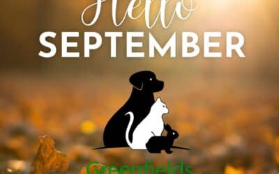 Hello September & Caring for Your Pets This Autumn