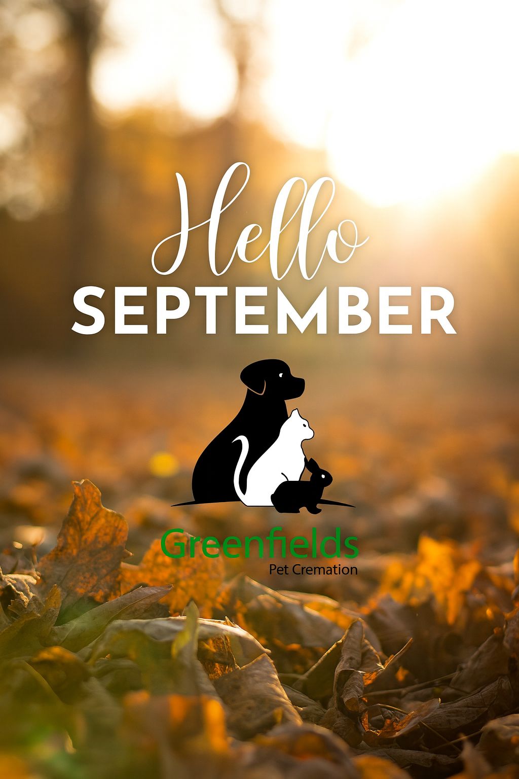 Hello September & Caring for Your Pets This Autumn Hello September & Caring for Your Pets This Autumn